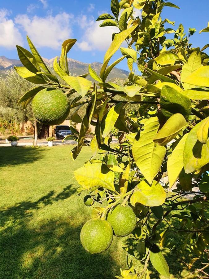 Villa Alexandros Stone House Nydri (Lefkada)